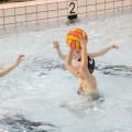 IMG_4287