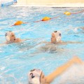 IMG_4445