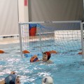 img_2233