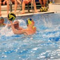IMG_11
