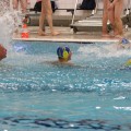 IMG_15a