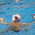 IMG_4705