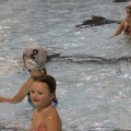 img_0810