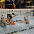 img_3916